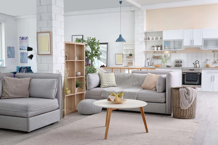 Shades of Grey Sofa Designs