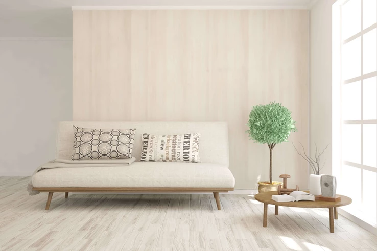 Zen Inspired Sofa Designs